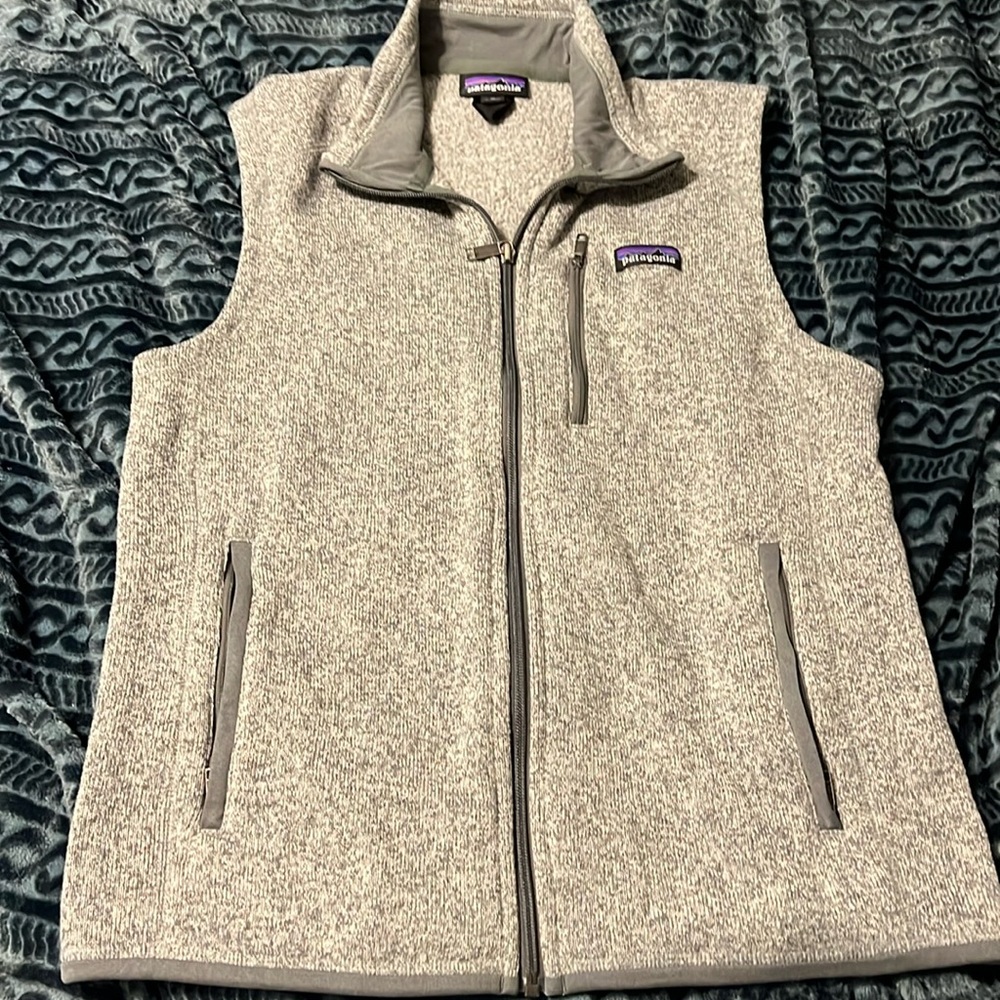 Mens Patagonia vest